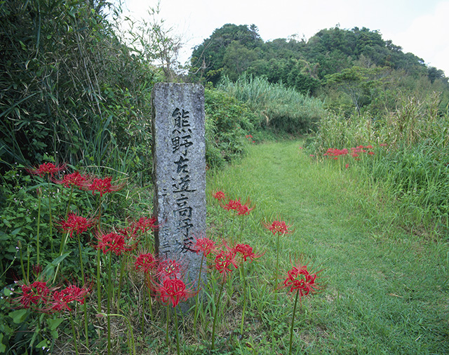 高野坂