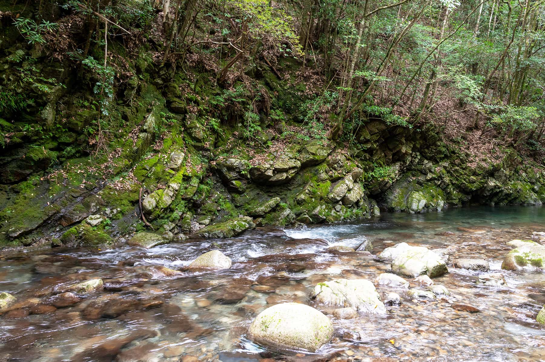 篠尾川渓谷