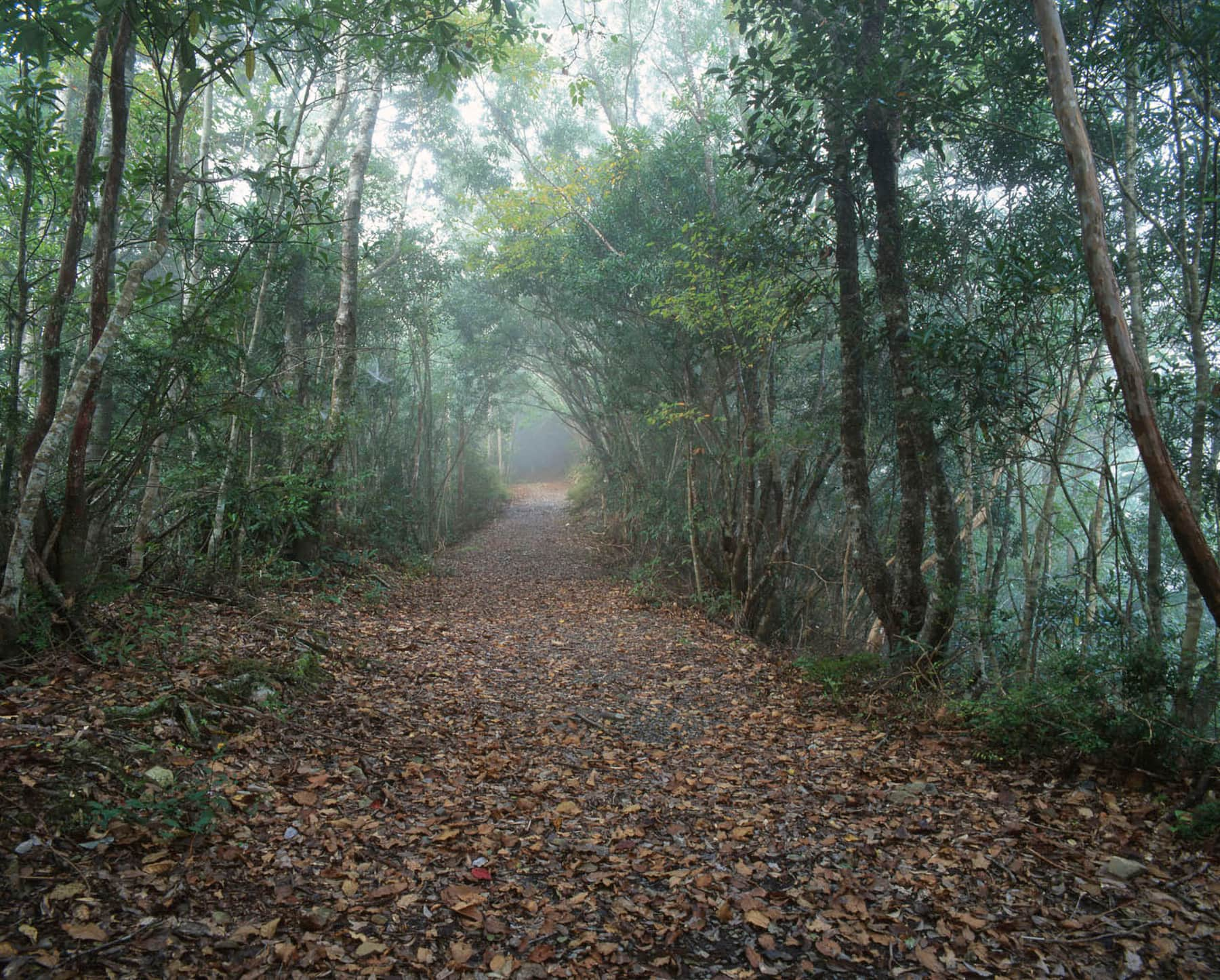 小雲取越