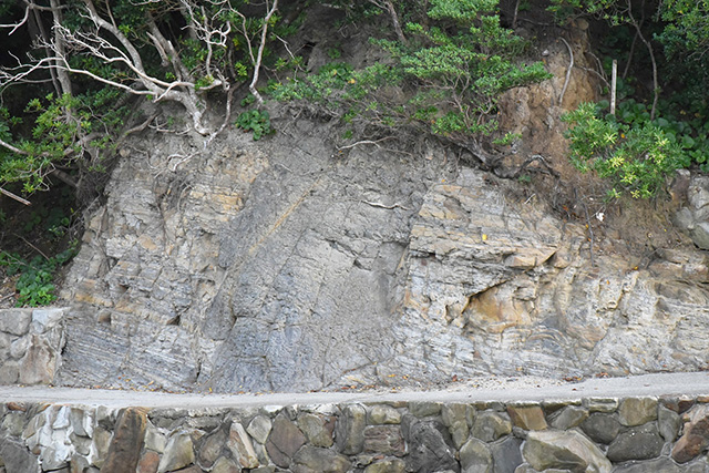 白浜の泥岩岩脈