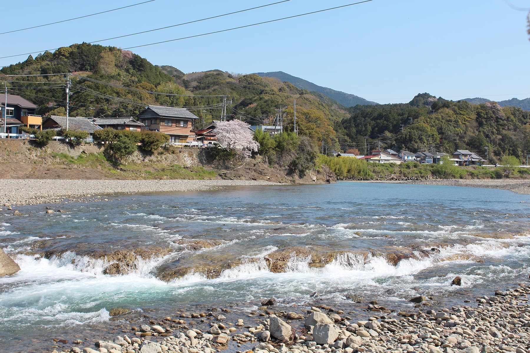 富田川の川替え跡