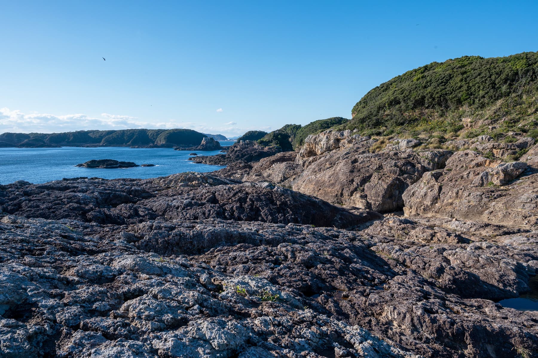 大島の火成岩