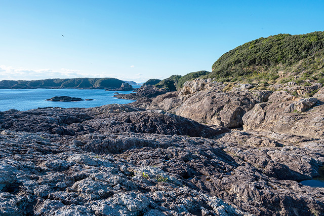 大島の火成岩