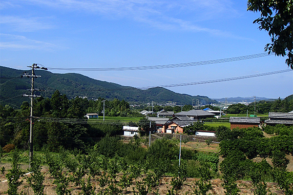 The River Terrace in Shimoayukawa