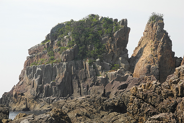 The Igneous Rock in Kii-Oshima Island