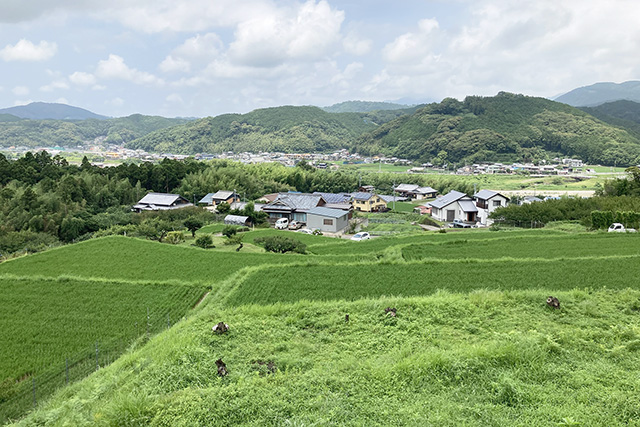 市ノ瀬の河岸段丘