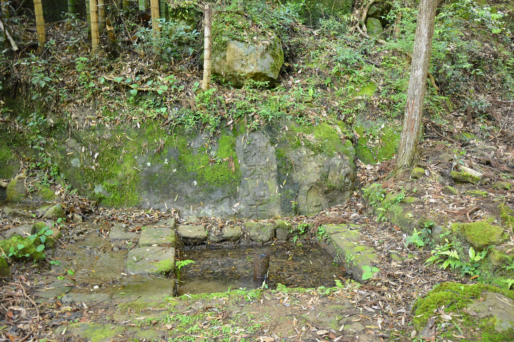 佐部の湯の谷