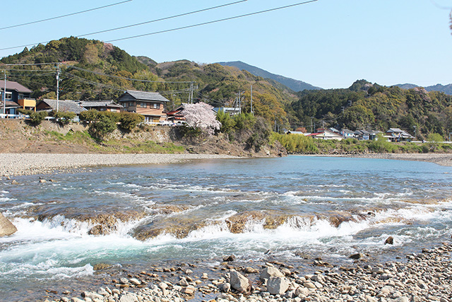 富田川の川替え跡